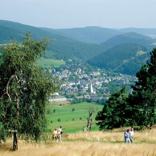 Blick_auf_Willingen