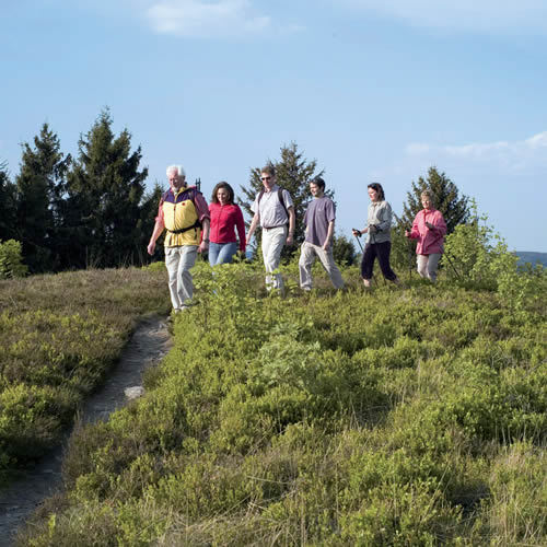 Wandern Willingen Sauerland