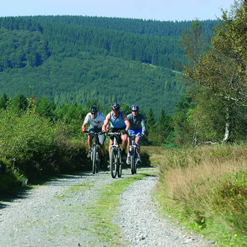 Biken in Willingen Sauerland